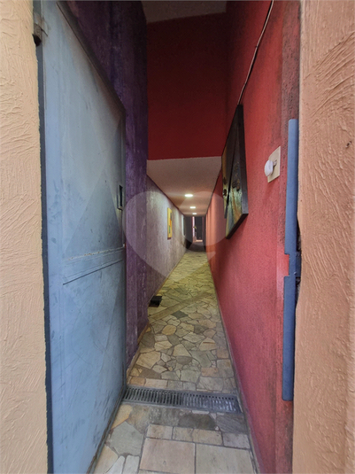 Foto REO1017444