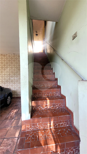 Foto REO1017509