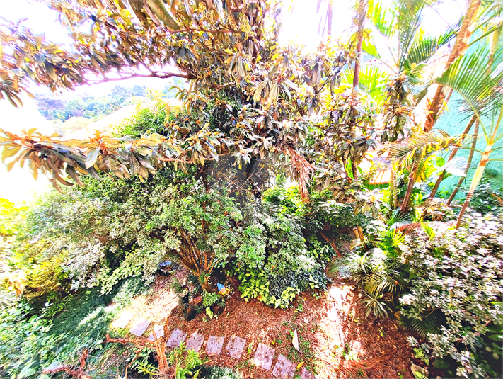 Foto REO1017750