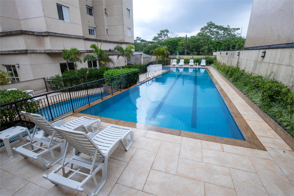 Venda Apartamento São Paulo Cambuci REO1018069 151