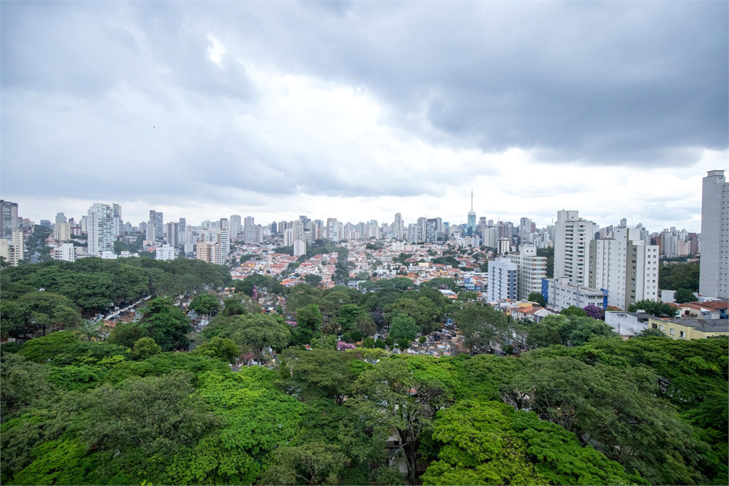 Venda Apartamento São Paulo Cambuci REO1018069 61