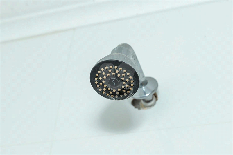 Foto REO1018245