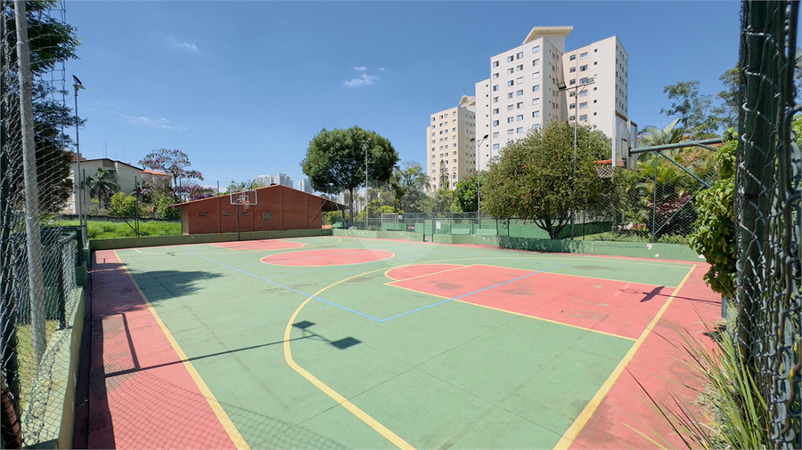 Foto REO1018527