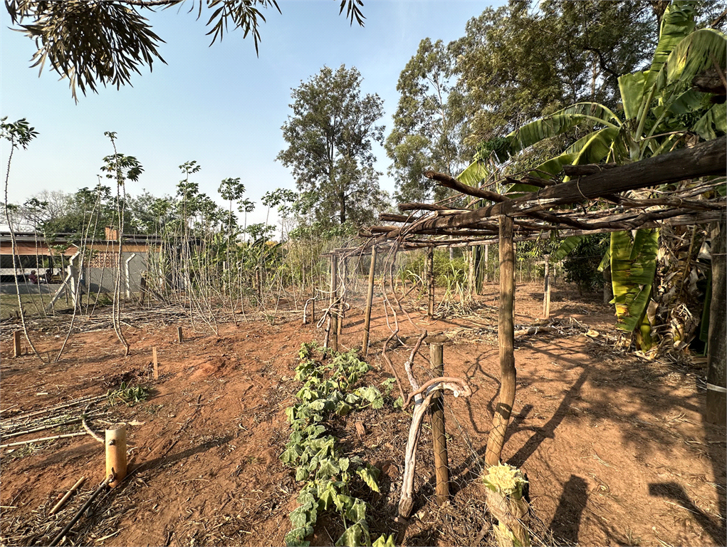 Venda Chácara Arealva Centro (jacuba) REO1018559 27