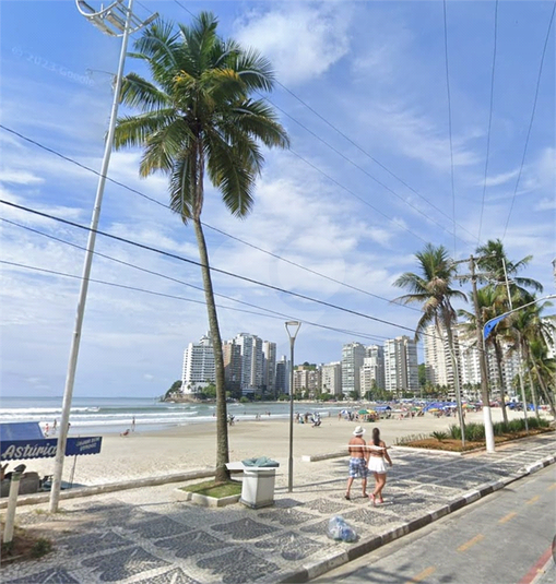 Foto REO1018574