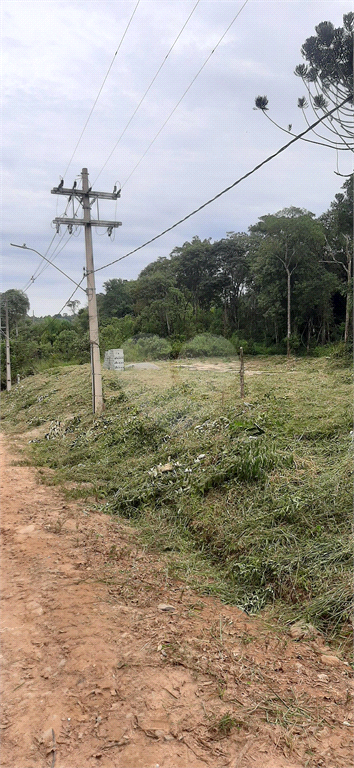 Venda Terreno Mairiporã Corumbá (terra Preta) REO1018634 5