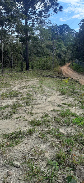 Venda Terreno Mairiporã Corumbá (terra Preta) REO1018634 4