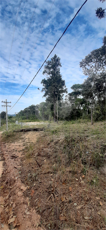 Venda Terreno Mairiporã Corumbá (terra Preta) REO1018634 6