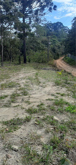 Venda Terreno Mairiporã Corumbá (terra Preta) REO1018634 2