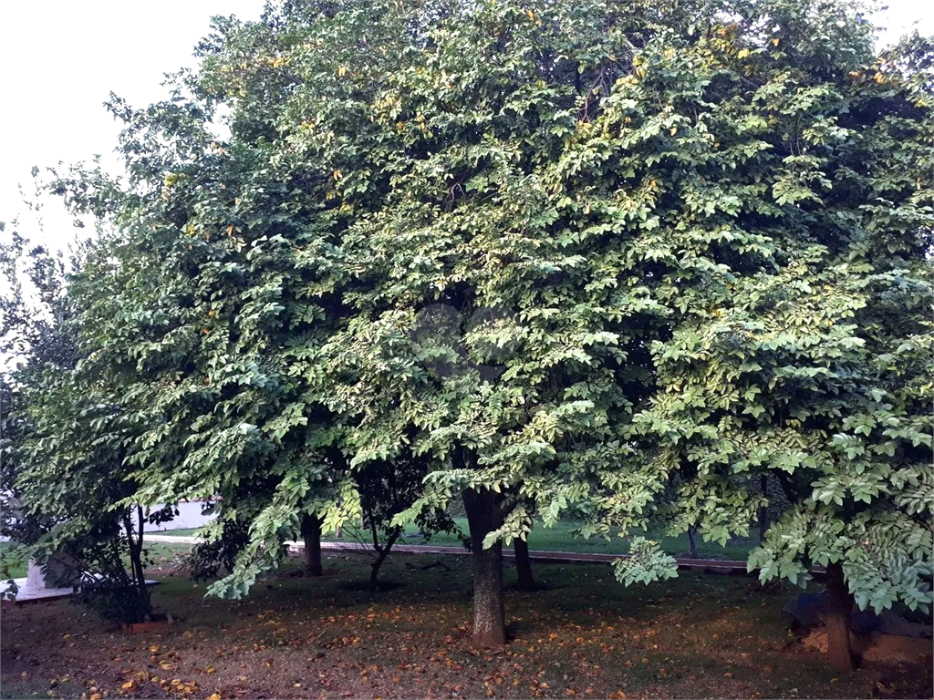 Venda Chácara Araçoiaba Da Serra Monte Bianco REO1018698 14