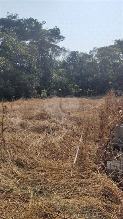 Venda Terreno Peruíbe Jardim São  Luis REO1018843 1