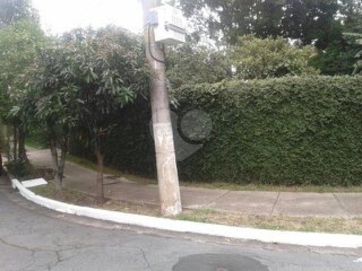 Foto REO101886