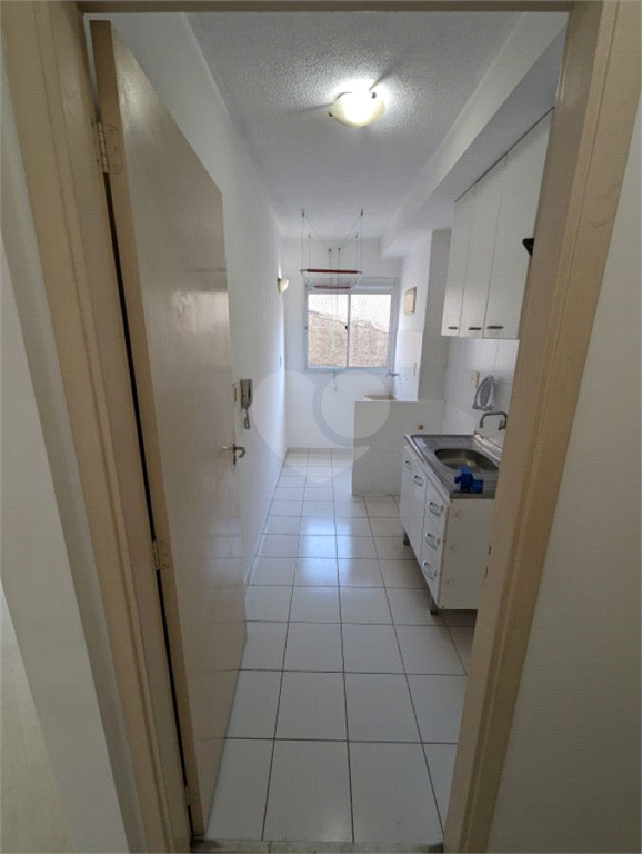 Venda Apartamento São Paulo Vila Firmiano Pinto REO1018917 11