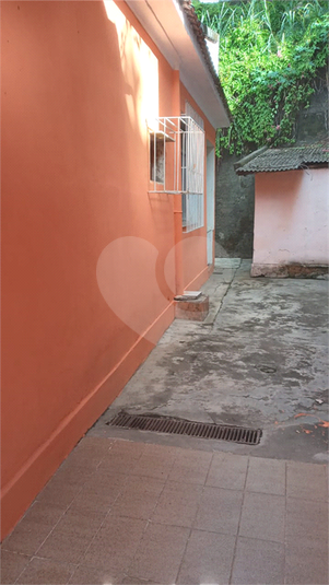 Foto REO1019207