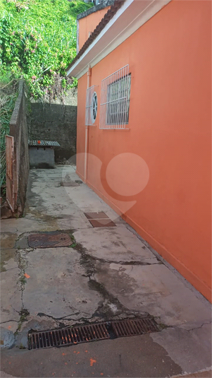 Foto REO1019207