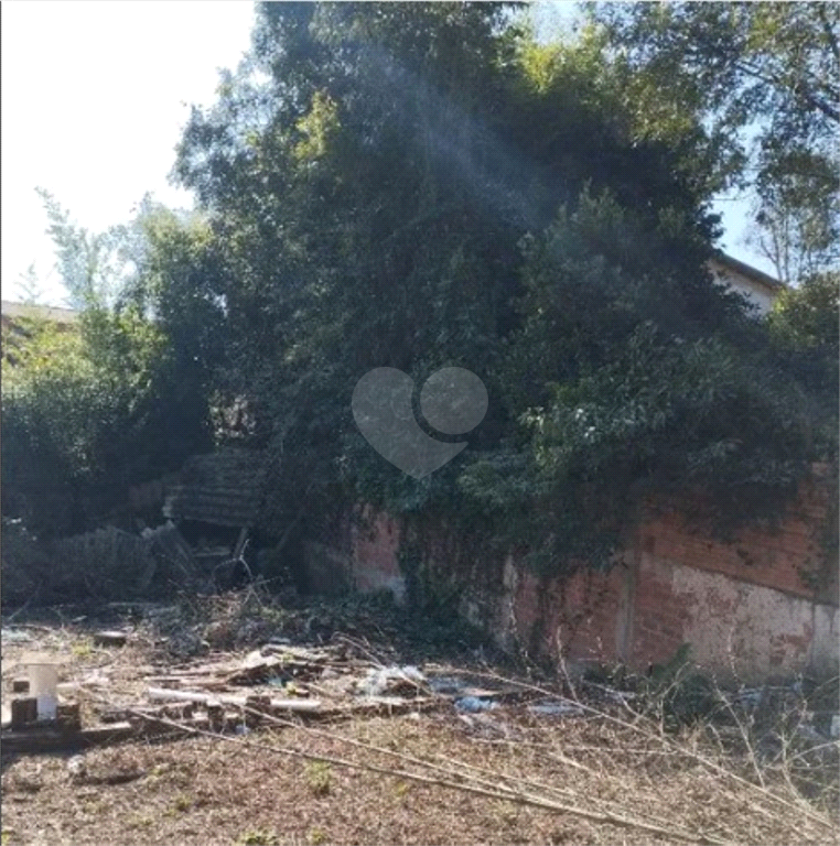 Venda Terreno Piraquara Vila São Tiago REO1019334 15