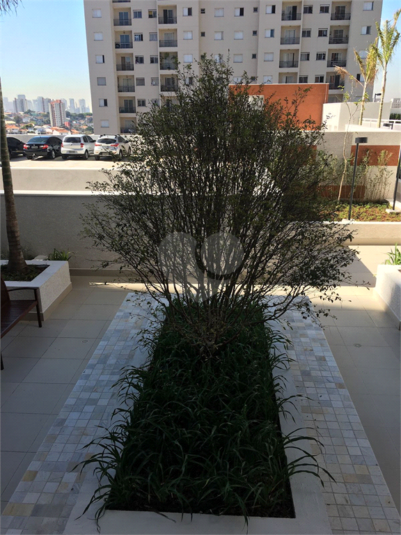 Venda Apartamento São Paulo Vila Nova Cachoeirinha REO1019471 13