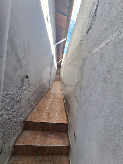 Foto REO1019484