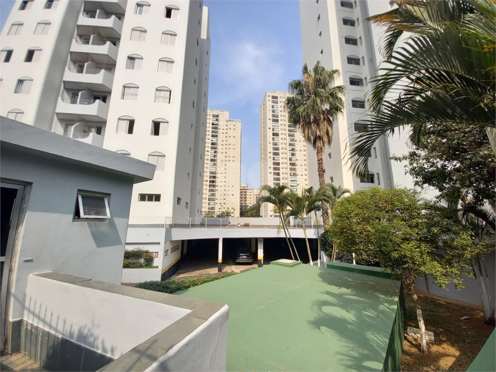 Aluguel Apartamento São Paulo Vila Cachoeira REO1019566 25