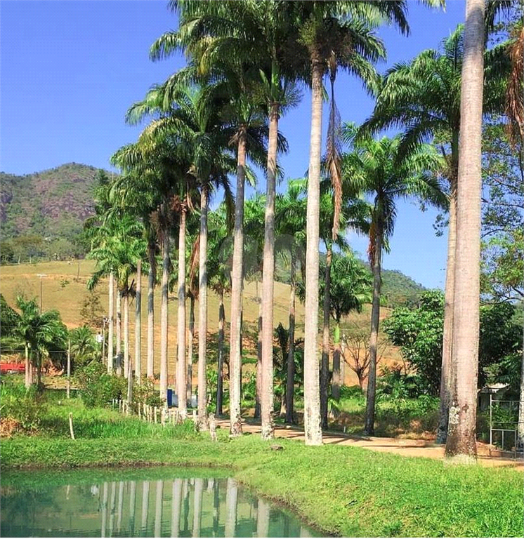 Venda Terreno Guarapari Comunidade Urbana De Rio Grande REO1019642 4