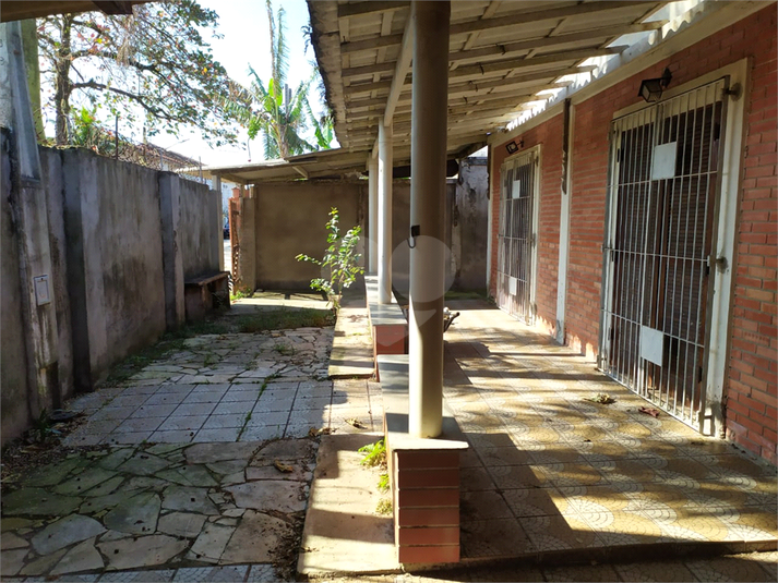 Foto REO1019677