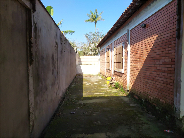 Foto REO1019677