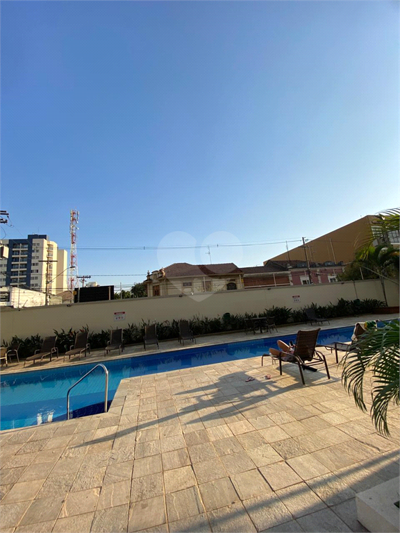 Aluguel Apartamento Campinas Vila Industrial REO1019883 15