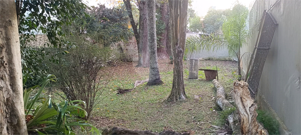 Venda Terreno Curitiba Ahú REO1019898 11