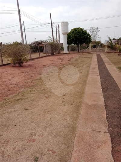 Foto REO1019919