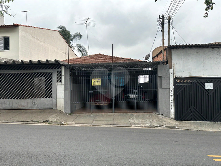 Foto REO1019933