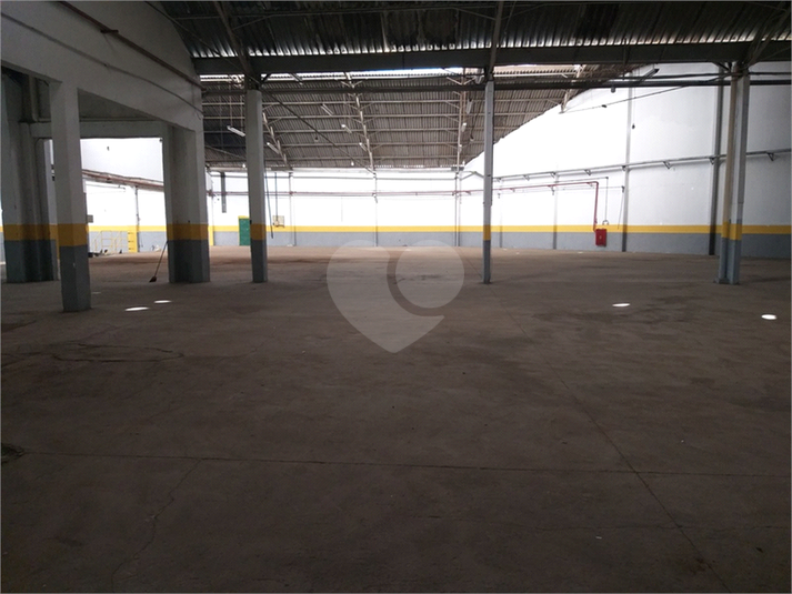 Foto REO1020243