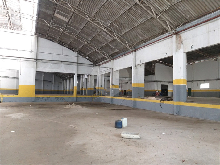Foto REO1020248