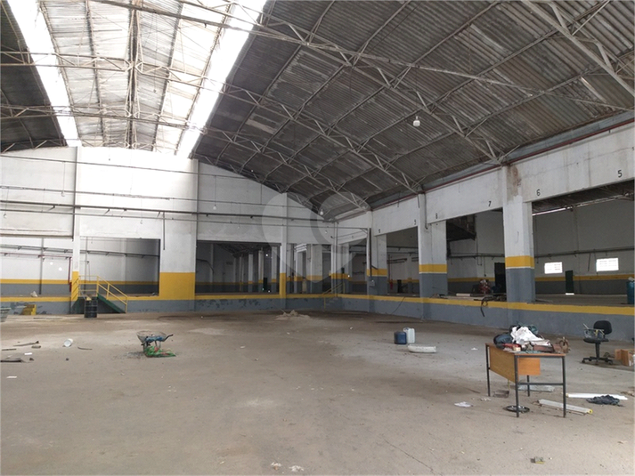 Foto REO1020248