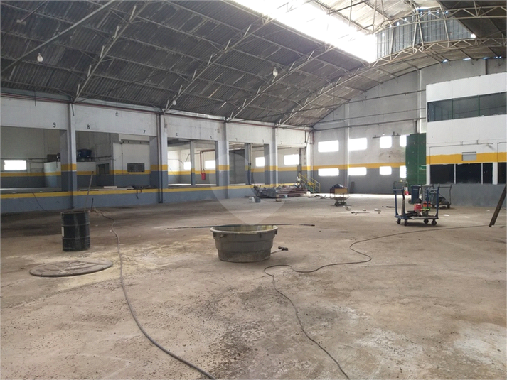 Foto REO1020248