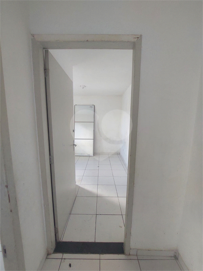 Foto REO1020299