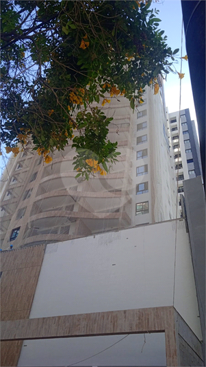 Foto REO1020575