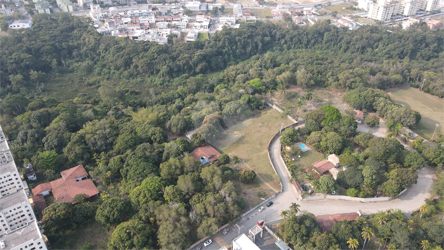 Foto REO1020693