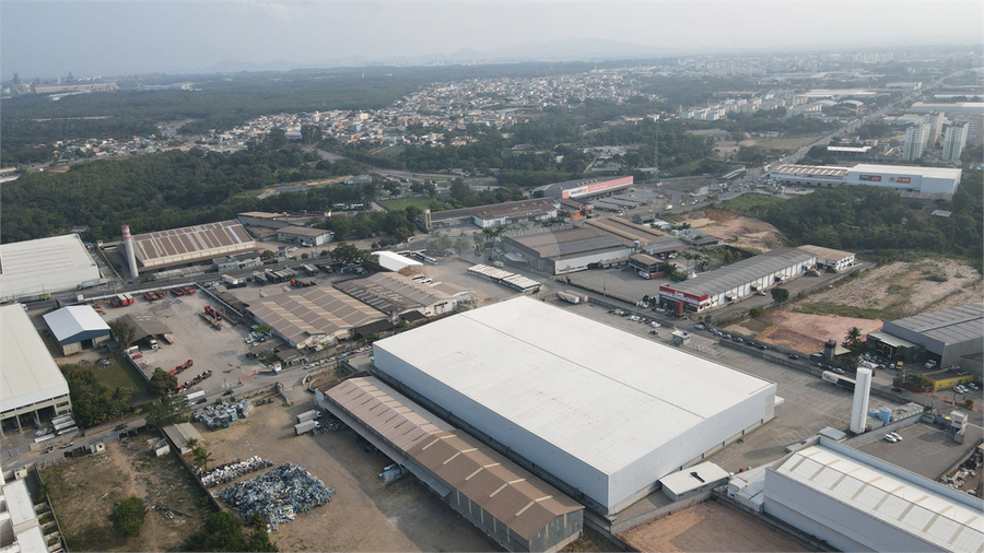 Foto REO1020693