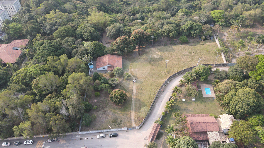 Foto REO1020693