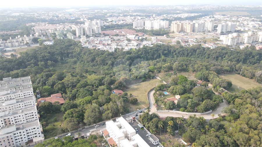 Foto REO1020693