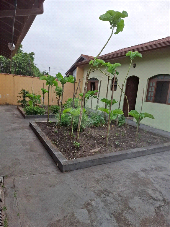 Venda Casa Peruíbe Parque Balneário Oasis REO1020730 3