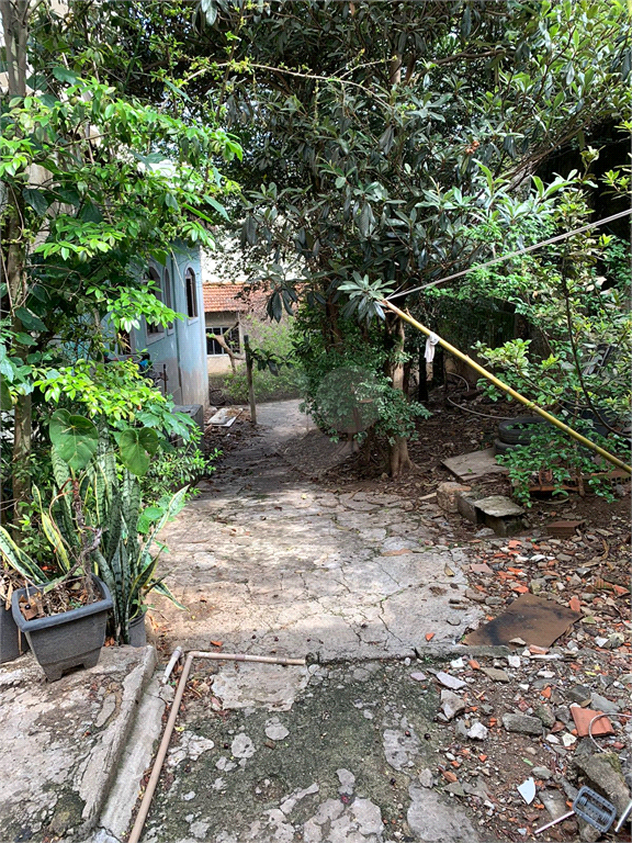 Venda Terreno São Paulo Vila Dalila REO1020753 13