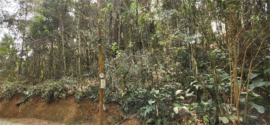 Venda Terreno Mairiporã Luiz Fagundes REO1021042 12