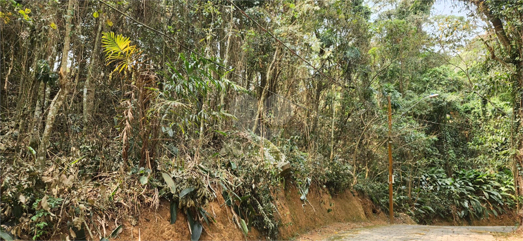 Venda Terreno Mairiporã Luiz Fagundes REO1021042 14