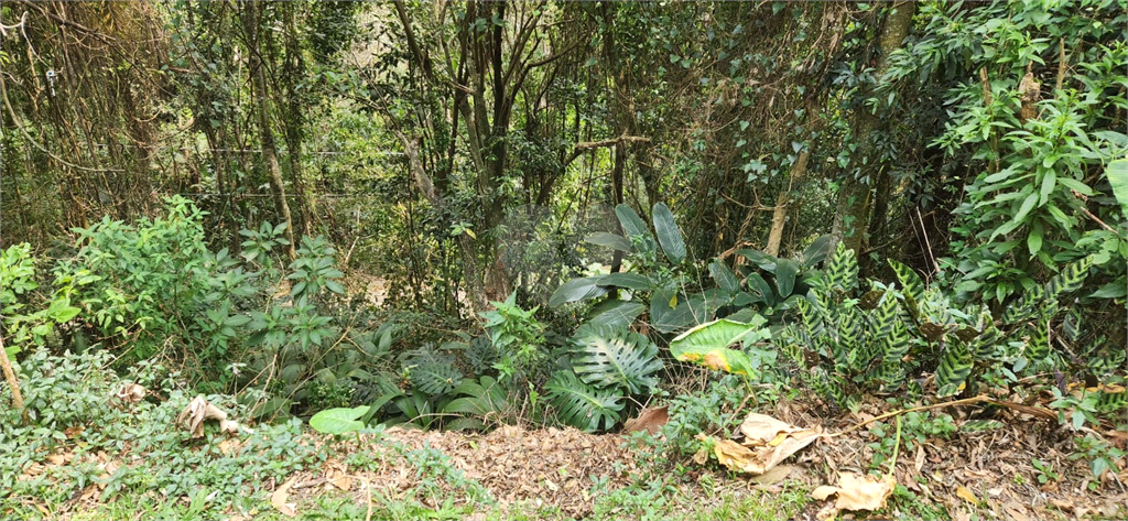 Venda Terreno Mairiporã Luiz Fagundes REO1021042 5