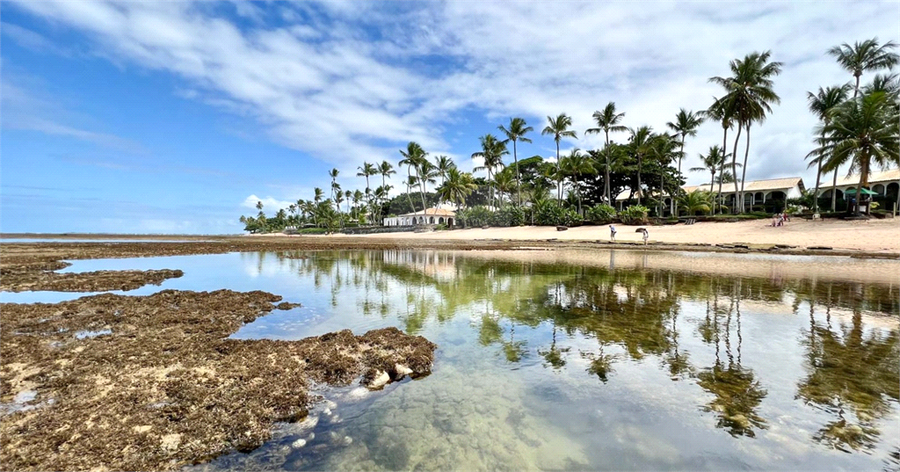 Venda Apartamento Mata De São João Praia Do Forte REO1021321 15