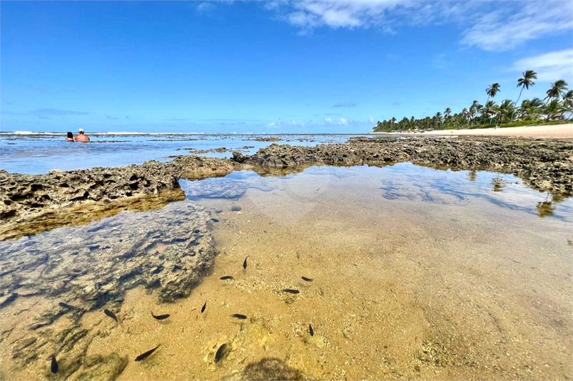 Venda Apartamento Mata De São João Praia Do Forte REO1021321 17