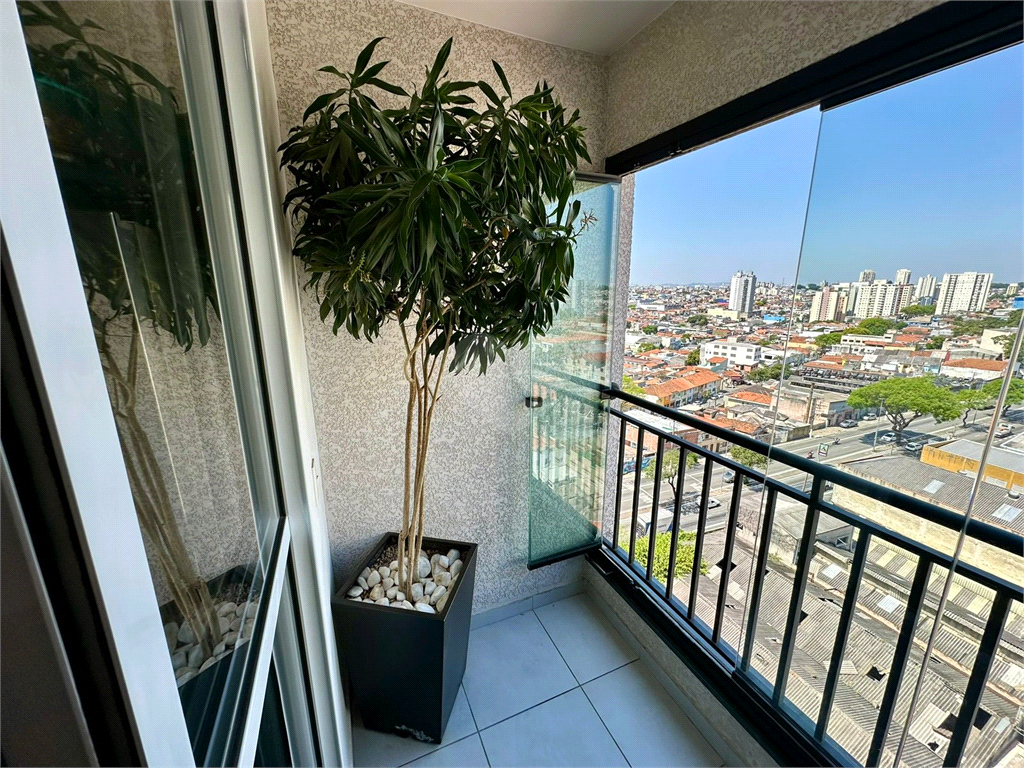 Venda Apartamento São Paulo Vila Moinho Velho REO1021357 2