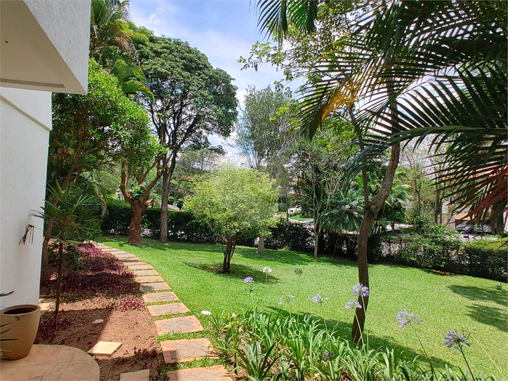 Foto REO1021488