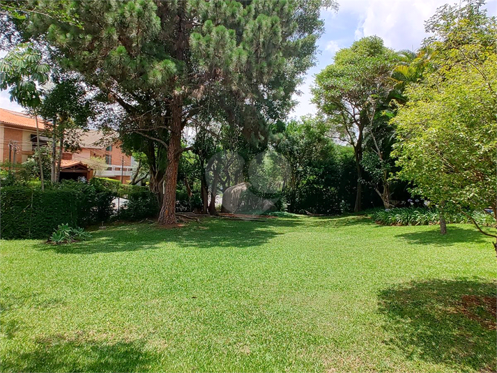 Foto REO1021488